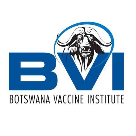 BVI
